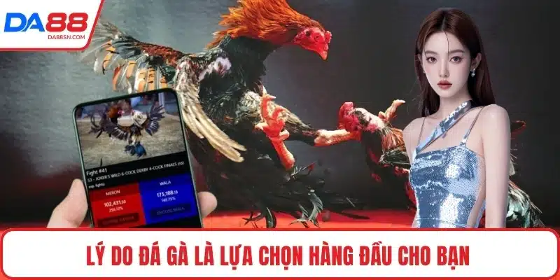 Lý do đá gà là lựa chọn hàng đầu cho bạn Lý do đá gà là lựa chọn hàng đầu cho bạn