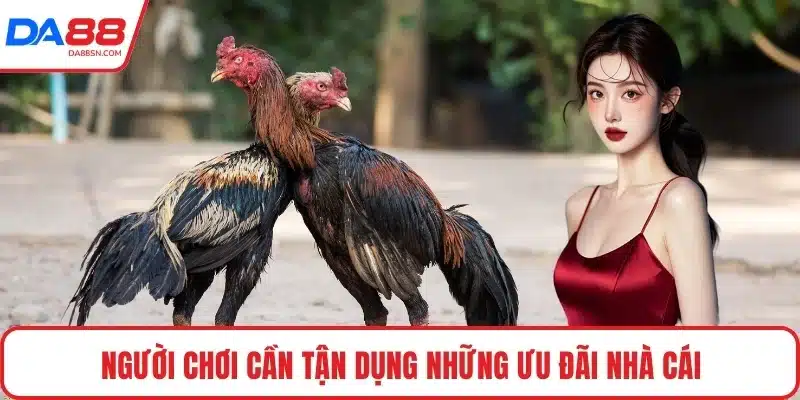 Người chơi cần tận dụng những ưu đãi nhà cái Người chơi cần tận dụng những ưu đãi nhà cái
