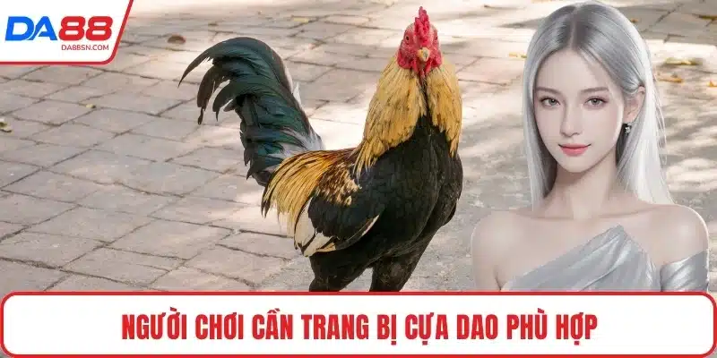Người chơi cần trang bị cựa dao phù hợp Người chơi cần trang bị cựa dao phù hợp