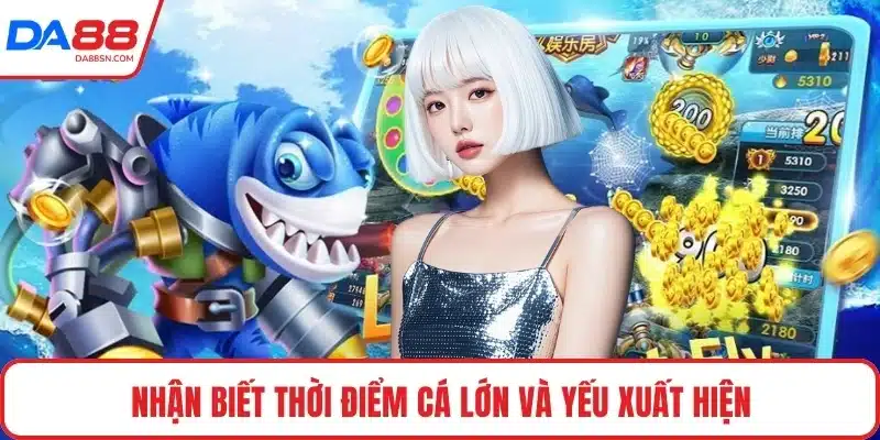 Nhận biết thời điểm cá lớn và yếu xuất hiện Nhận biết thời điểm cá lớn và yếu xuất hiện